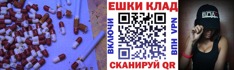 blacksprut маркетплейс  Новохопёрск  Экстази TESLA 