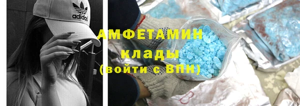 PSILOCYBIN Тайга