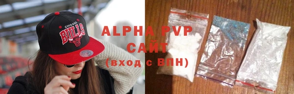 PSILOCYBIN Тайга