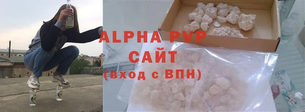 PSILOCYBIN Тайга