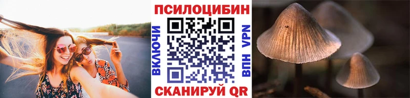 цена   Новохопёрск  Галлюциногенные грибы Cubensis 